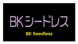 BKV[hX@V[i237-2yokoj^ A[g ԂǂiV[ Ԃǂx TCY48.3×25.4~