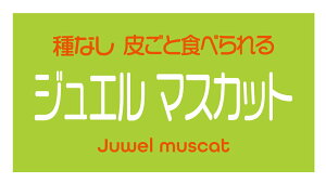 WG}XJbg@V[i263-2yokoj^ A[g ԂǂiV[ Ԃǂx TCY48.3×25.4~