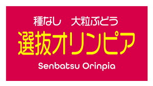 IIsA@V[i325-2yokoj^ A[g ԂǂiV[ Ԃǂx TCY48.3×25.4~