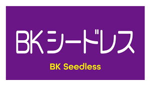 BKV[hX@V[i392-2yokoj^ A[g ԂǂiV[ Ԃǂx TCY48.3×25.4~