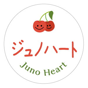 Wmn[g@V[icherry_004jی`@(TCY40~-120)@(TCY30~-240)  i V[