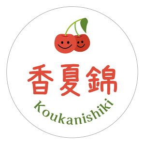 ċс@V[icherry_019jی`@ɂ@(TCY40~-120)@(TCY30~-240)  i V[