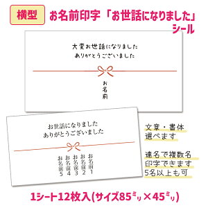 yzy^zbɂȂ܂V[i12/TCY85×45mmj  V[ O