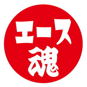 G[X@V[@015@ی`@(TCY40~24܂30~48)@ V[