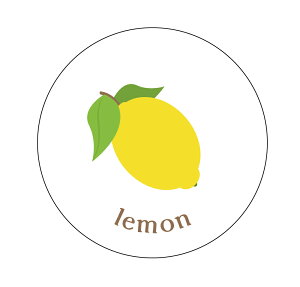 yⓀE①pz@V[i413j ی^30~ 240}CiX20x܂ŔȂ@Зp