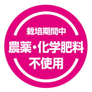 ͔|Ԓ@_Ew엿sgpV[@[A[g] sNinoukla-17pjی`@(TCY40~/30~)