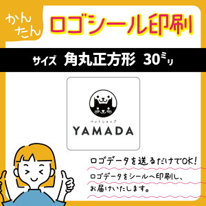 p30~ Sf[^  TCY Sf[^𑗂邾ŃSV[̃f[^V[ֈ܂̂݃Sf[^}500~+ł܂