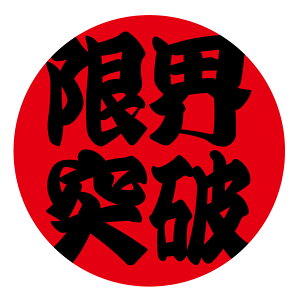 E˔j@V[@039@@ی`@(TCY40~24܂30~48)@ V[