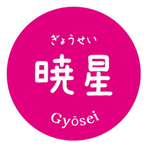 Ő@傤@V[imomo-023j  iV[ ی` iTCY40~-120jiTCY30~-240j