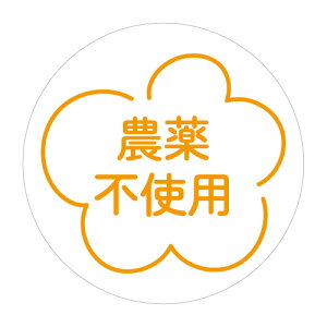 _sgpV[@240inouwhi-02j[RF]ی`@(TCY30~)@[A[g]