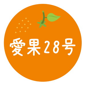 ݂iV[@28i038jی`@(TCY40~-120)@(TCY30~-240)