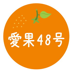 ݂iV[@48i037jی`@(TCY40~-120)@(TCY30~-240)