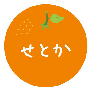 ݂iV[@Ƃi039jی`@(TCY40~-120)@(TCY30~-240)