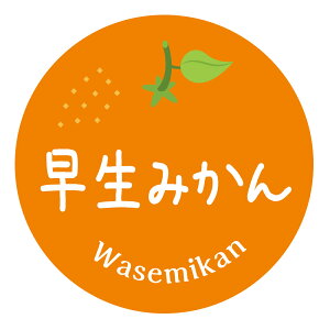 ݂iV[@݂@킹݂i041jی`@(TCY40~-120)@(TCY30~-240)