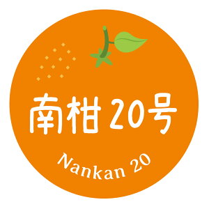 ݂iV[@승20i042jی`@(TCY40~-120)@(TCY30~-240)