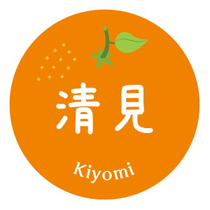 yⓀE①pz݂iV[@i݁ji010jی^30~ 240@}CiX20x܂ŔȂ@Зp