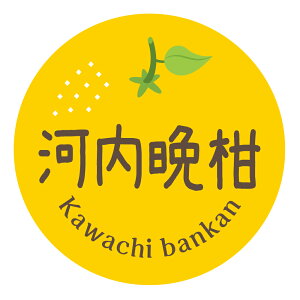 yⓀE①pz݂iV[@͓ӊi킿΂񂩂ji027jی^30~ 240@}CiX20x܂ŔȂ@Зp