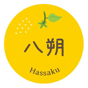 ݂iV[@i͂ji032j ی`@(TCY40~-120)@(TCY30~-240)
