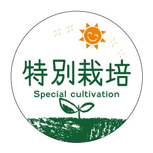 ʍ͔|@V[ioga-080j@HȋV[ @[A[g] ی`TCY40~^30~