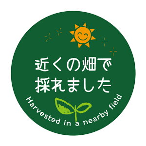 ߂̔ō̂܂@V[ioga-073j@HȋV[ @[A[g] ی`TCY40~^30~