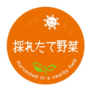 ̂ꂽĖ؁@V[ioga-074j@HȋV[ @[A[g] ی`TCY40~^30~