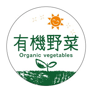 L@؁@V[ioga-079j@HȋV[ @[A[g] ی`TCY40~^30~