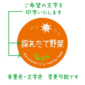 ]̕ ̂ꂽĖ V[ioga-074-opj@HȋV[ @[A[g] ی`TCY40~^30~