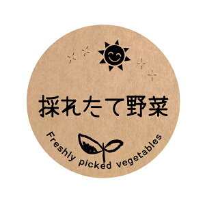 HȋV[@[Ntg]@̂ꂽĖ؁@V[ifoodseal-oga-005jی`@TCY40~/30~