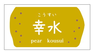  i K@@V[ipe-yo-019j^ 220㎿ TCY48.3×25.4~ 44×5V[g  V[