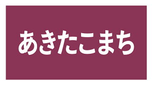 ܂@ĖV[i011j^ ㎿ TCY48.3×25.4~