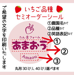 いちご品種セミオーダーシール丸形30ミリ 40ミリ サイズ、枚数選べます