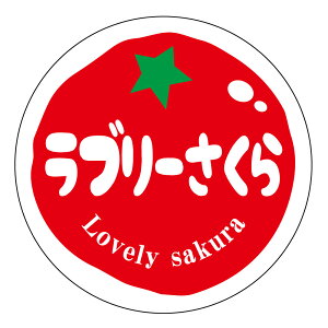 u[ V[itomato-005jی`@(TCY40~-120)@(TCY30~-240) g}giV[