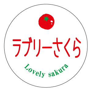 yⓀE①pzu[ V[itomato-019jی^30~ 240@}CiX20x܂ŔȂ@Зp g}giV[