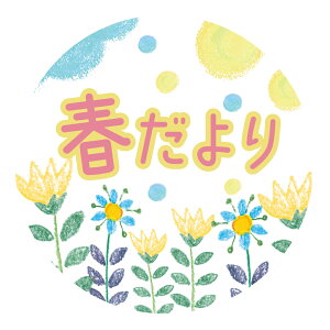 �t�����V�[���iharu006�j�ی`30�~�� 240�� �܂��͊ی`40�~�� 120�� �㎿�� �V�[�� �t����� �{