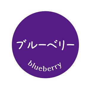 yⓀE①pzu[x[@V[i12jی^30~ 240}CiX20x܂ŔȂ@Зp