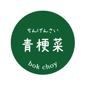 [؁@V[i18jی`@(TCY40~-120)@(TCY30~-240)@`QTC@񂰂񂳂