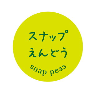 Xibvǂ V[i21jی`@(TCY40~-120)@(TCY30~-240)@XibvGhE