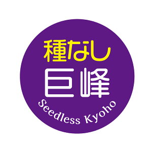 yⓀE①pzȂ@@V[i109jی^30~ 240@ԂǂiV[@}CiX20x܂ŔȂ@Зp