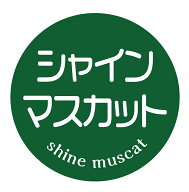 シャインマスカット　シール（128）丸形　(30ミリ-240枚/40ミリ-120枚/60ミリ-60枚)