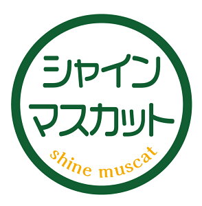 VC}XJbg@V[i129jی`@(TCY40~-120)@(TCY30~-240)