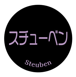 yⓀE①pzX`[x@V[i139jی^30~ 240@ԂǂiV[@}CiX20x܂ŔȂ@Зp