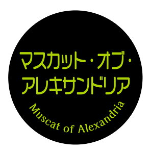 yⓀE①pz}XJbgEIuEALThA@V[i140jی^30~ 240@ԂǂiV[@}CiX20x܂ŔȂ@Зp