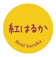 紅はるか　シール（166）丸形　(30ミリ-240枚/40ミリ-120枚/60ミリ-60枚) さつまいも 品種 シール