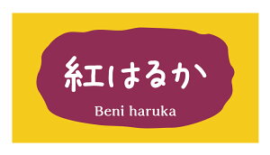 g͂邩@V[i206j^ 220㎿ TCY48.3×25.4~ 44×5V[g