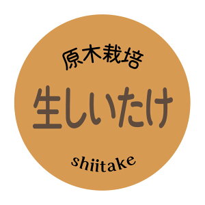 ؂Ȃ߂@V[i228jی`@(TCY40~-120)@(TCY30~-240)