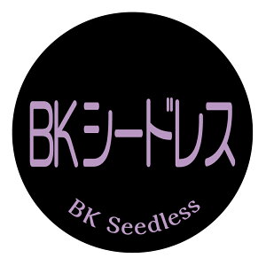 BKV[hX@V[i237jی`@(TCY40~-120)@(TCY30~-240)