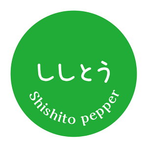 Ƃ@V[i309jی`@(TCY40~-120)@(TCY30~-240)