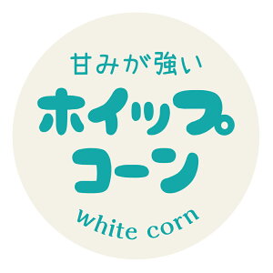 yⓀE①pzzCbvR[@V[i329jی^30~ 240 V[}CiX20x܂ŔȂ@Зp