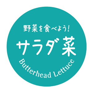 T_؁@V[i483jی`@(TCY40~-120)@(TCY30~-240)@V[@؂Hׂ悤