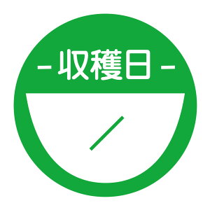 n@V[i485jGreen ی`@(TCY40~-120)@(TCY30~-240)@V[@n菑ŋL܂